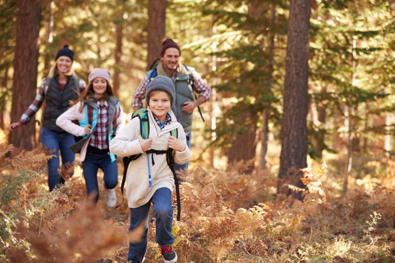 فيلا Timber Run وينتر بارك المظهر الخارجي الصورة